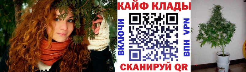 Магазины продажи наркотиков Ярцево Бошки Шишки  Кокаин  ГАШ  kraken рабочий сайт  МЕФ  Alpha PVP 