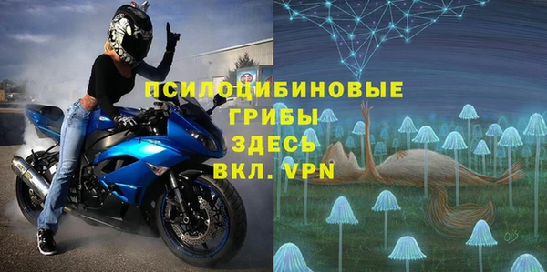 молекула духа Нефтекумск