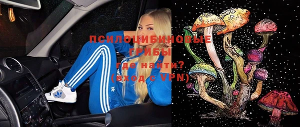 шишки Белая Холуница