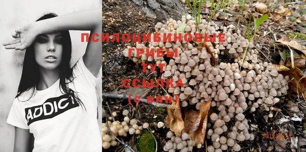 меф Нефтегорск