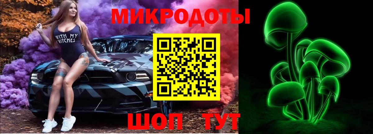 цены   Ярцево  Галлюциногенные грибы Psilocybine cubensis  Галлюциногенные грибы Psilocybe 