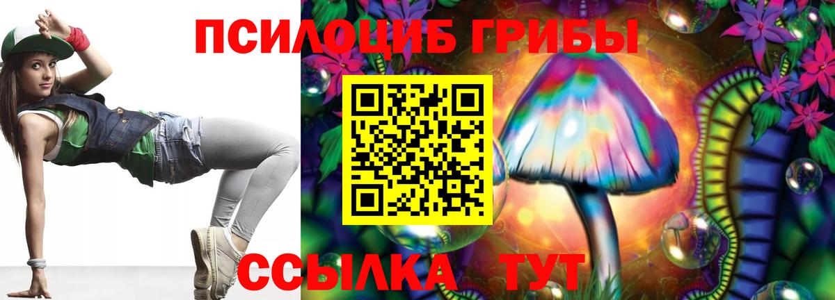 Псилоцибиновые грибы мицелий  Псилоцибиновые грибы мицелий  Ярцево  Вход с VPN 